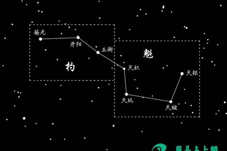 梦到狮子追我什么预兆