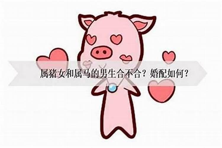 属猪最佳婚配前十名属相