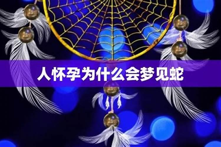属狗人龙年每月运势