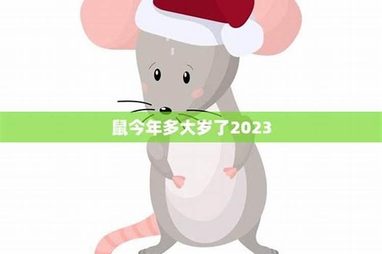 属鼠人2025年6月份运势
