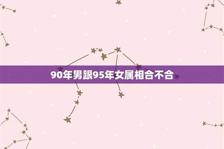 86年虎和90年马八字谁懂
