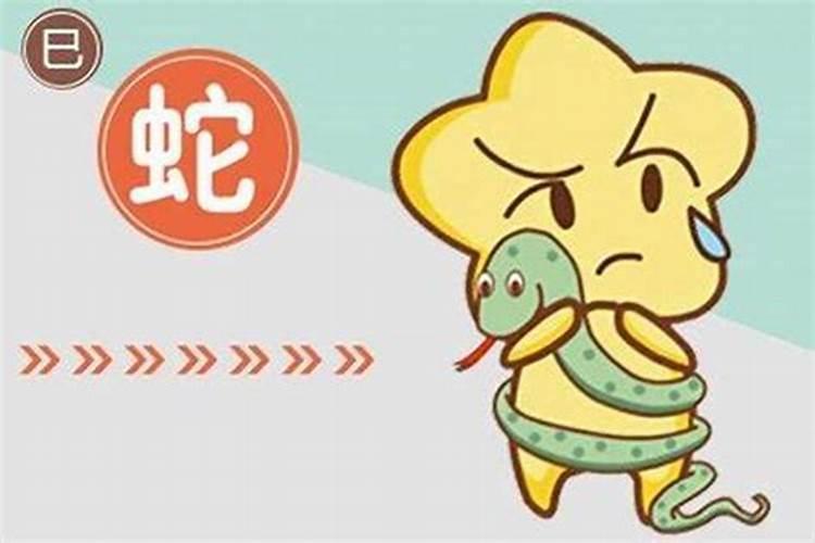 生肖蛇哪个月份最苦