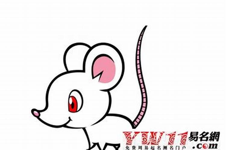梦见小老鼠爬到自己身上是什么意思