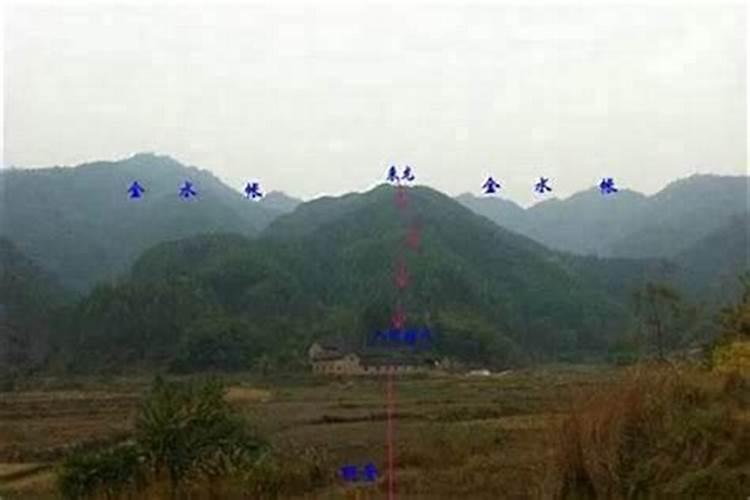 杨霁晖经历