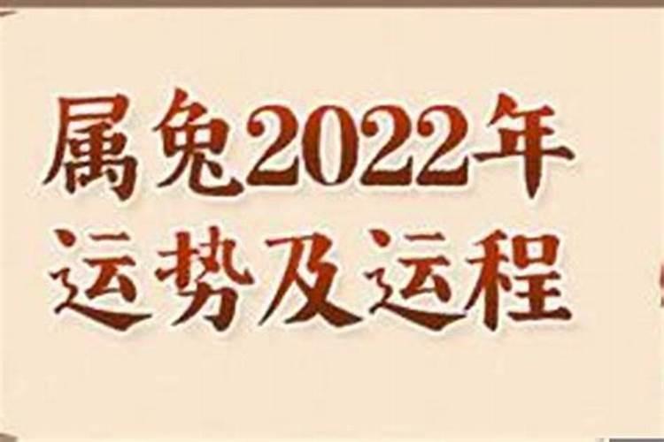 2025属虎人每月运势及运程如何 属虎的2025全年运势