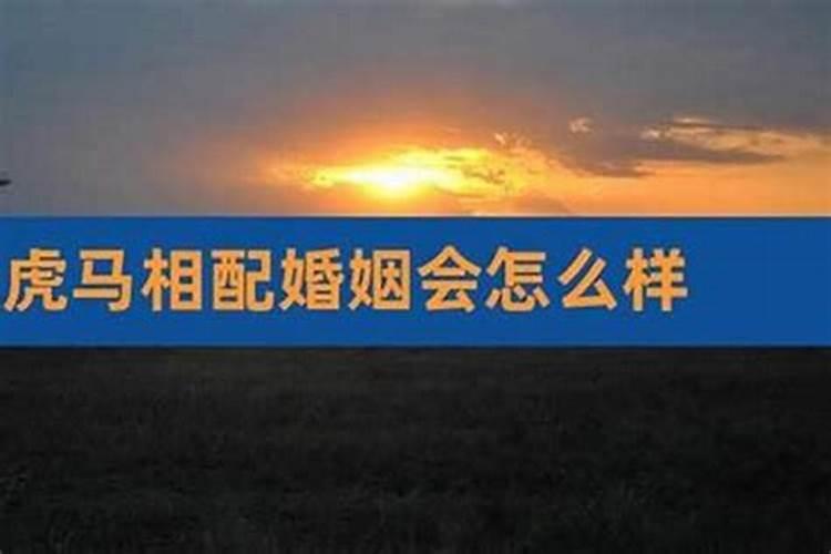 男兔女马在一起好不好做夫妻婚姻幸福吗