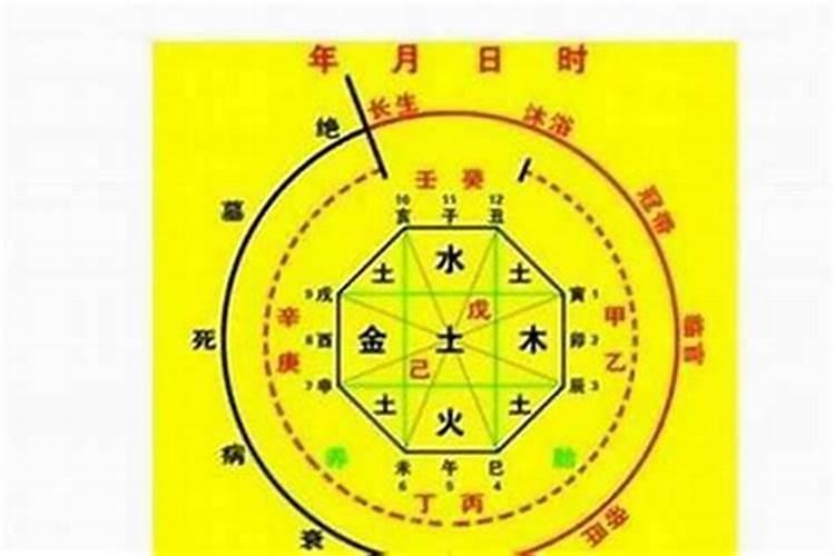 2025属蛇本命年财运怎么样