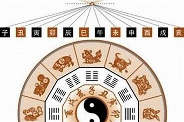 如何知道自己的生辰八字是什么？