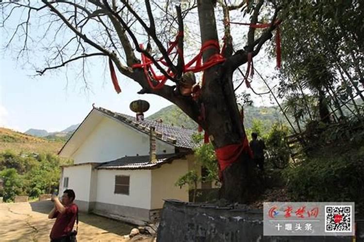 竹山县行政区划