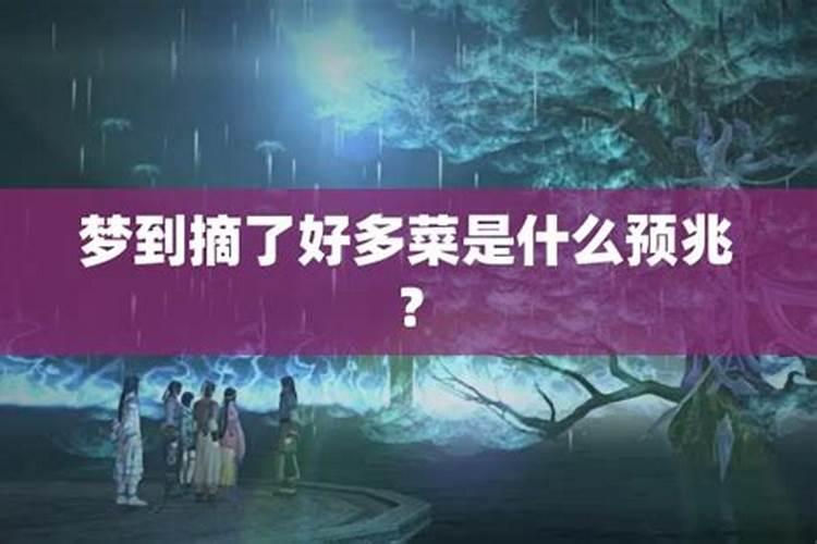 梦见姑姑的预兆