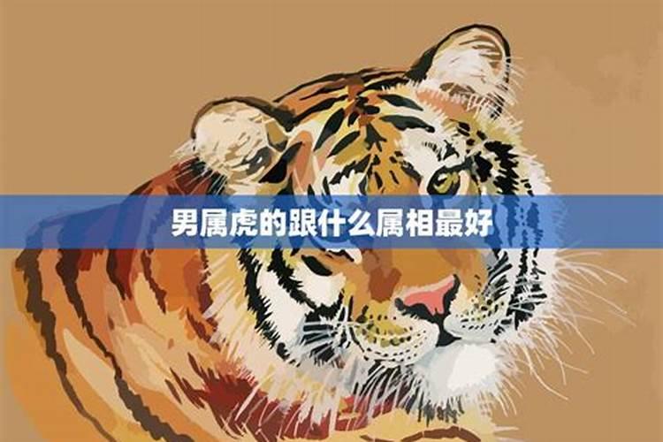 梦见好多蛇是什么预兆