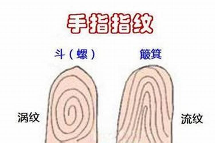 1943年属羊的是什么命