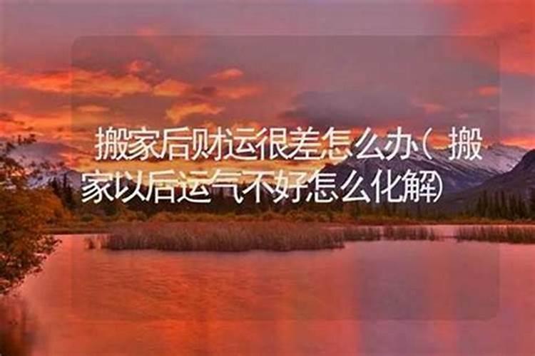 生儿子就会享福的生肖女