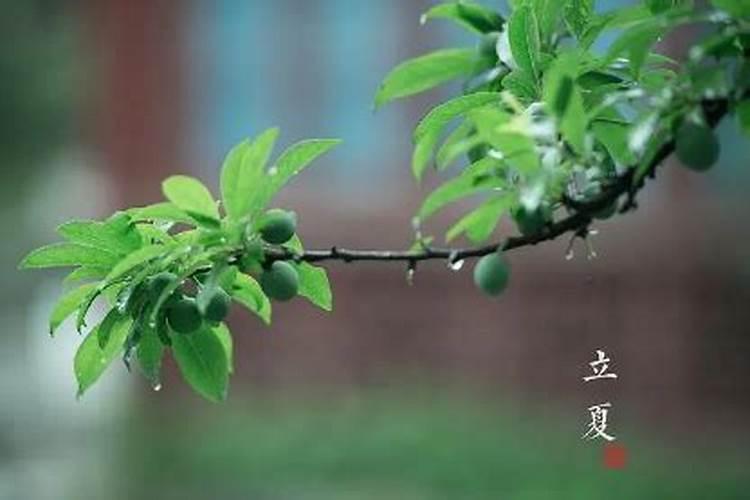 属龙人改运十大方法 属龙人改运最好的办法