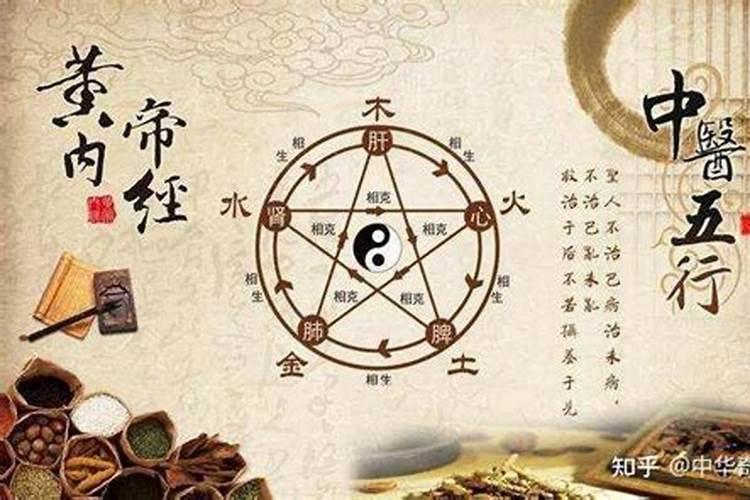 1977年属蛇人2024年最旺的颜色