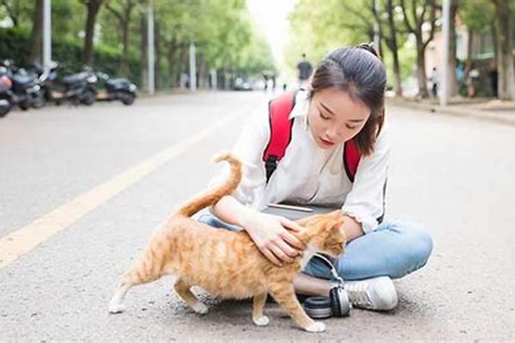 梦见自己的老婆生女儿