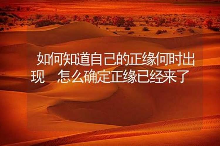 如何找到自己的正缘