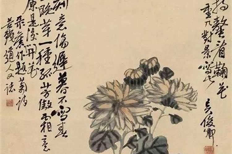 遥知兄弟登高处少一人是谁