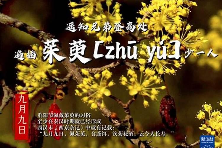 中元节和十月初一有什么区别