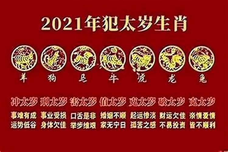 2025年蛇的本命年运势如何
