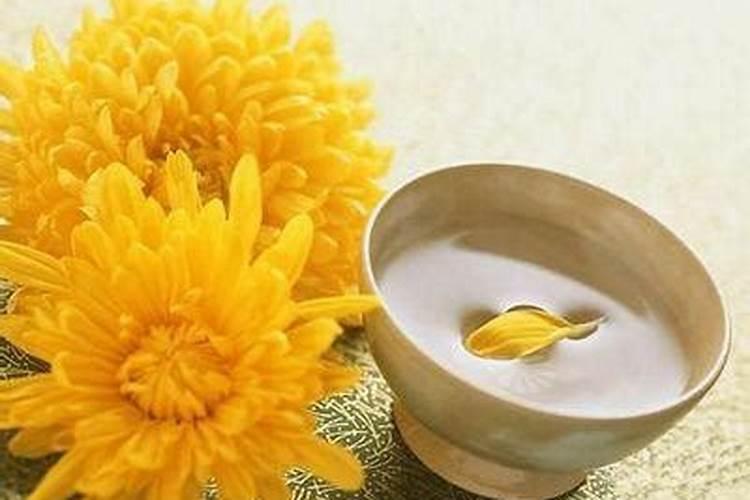 喝菊花酒是什么节日的风俗啊