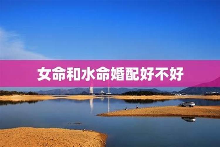 梦见满山遍地煤