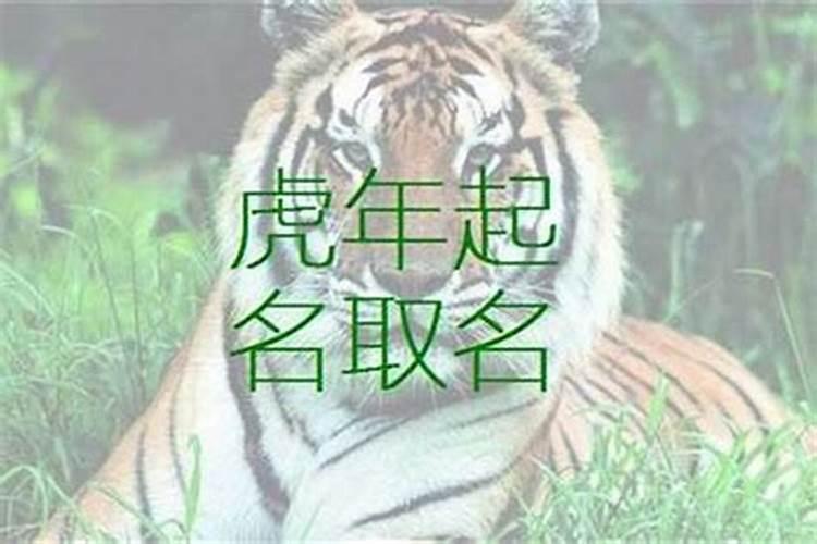 属虎人起名宜忌用字 属虎忌哪些偏旁的字