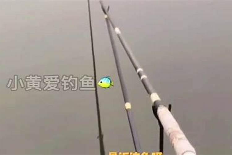 什么时候最好钓鱼？