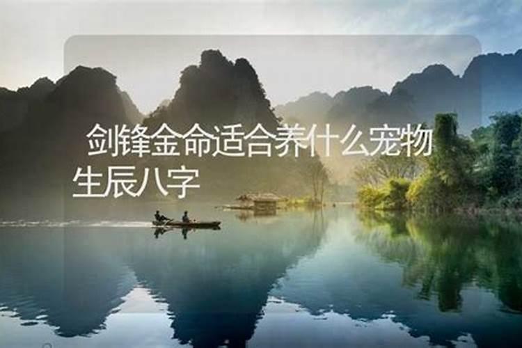 请大师帮忙看一下生辰八字配对 ,谢谢!男,1988年2月3日(农历);女,1987...