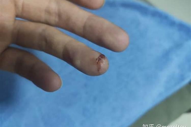 我的前生是什么