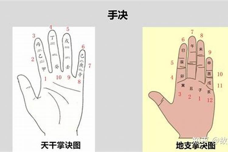 在武术的拳法,掌法里,名字带八字的都有什么