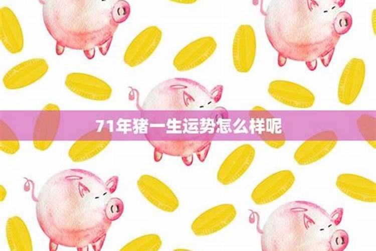 属龙人和属猪人合财吗？