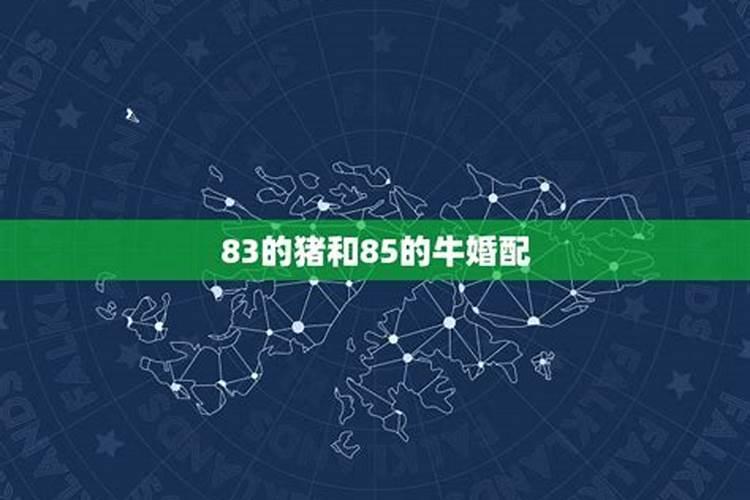 属相猪和牛相配婚姻如何 猪与牛配夫妻怎么样