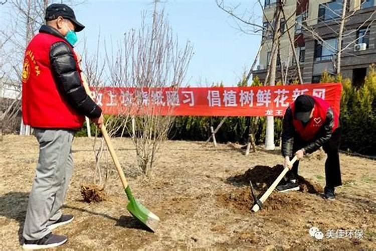 大连市清明节规定