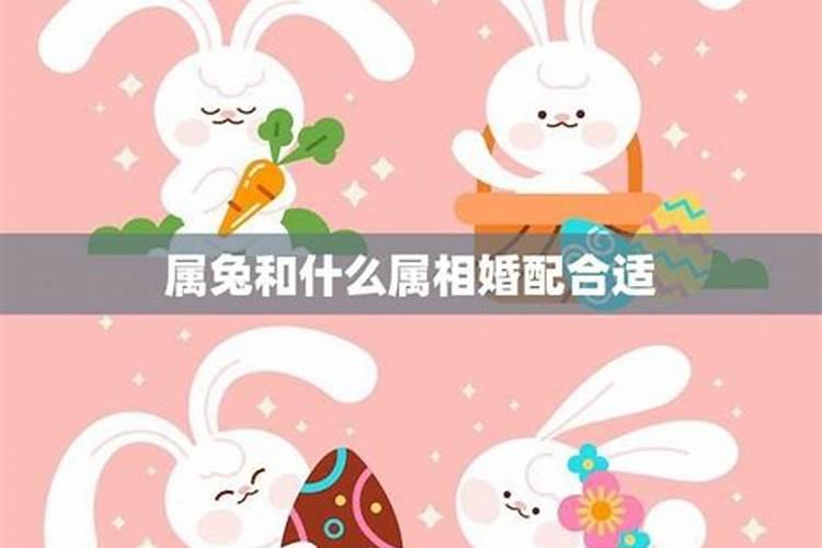 宝宝取名:2012年9月25日14点50分剖腹产出生,姓沈 写上寓意  百度...