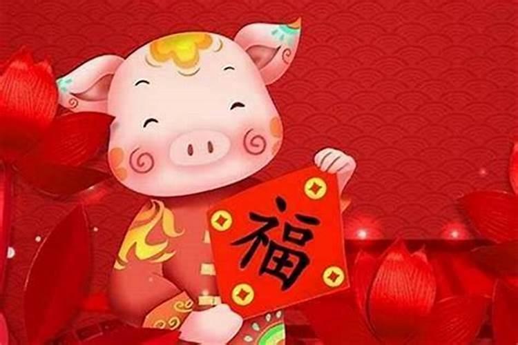 属猪一生大劫年有几难