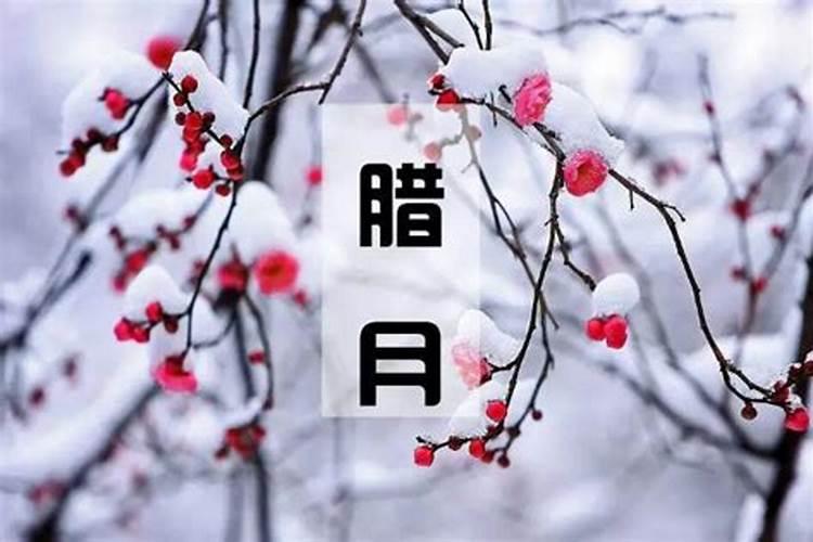 1963年属兔的是什么命,1963年属兔的2022 年运势