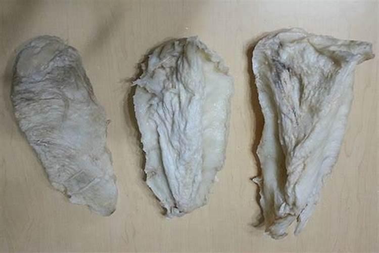 梦见鱼塘里有很多鱼是什么意思