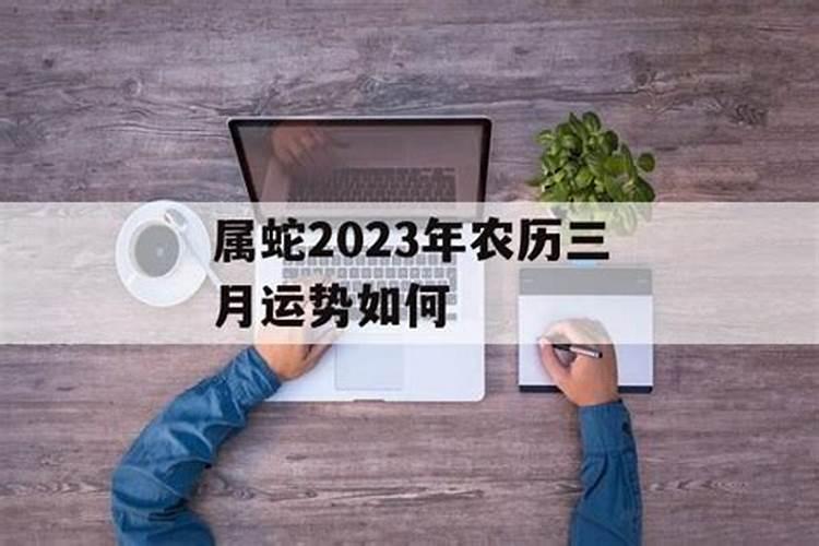 73年属牛人2025年运势