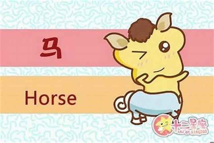 属马属猪适合做夫妻吗