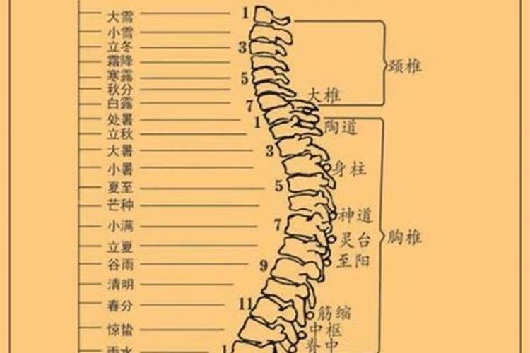 情路坎坷 一生都在还感情倒债的三大生肖