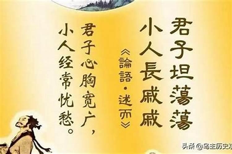75年兔2025年运势完整版
