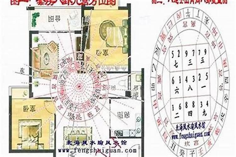 太岁是生物吗？它有生命吗？会动吗？
