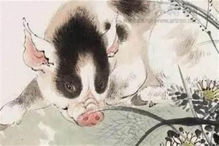 十一月出生的属猪人命运会如何