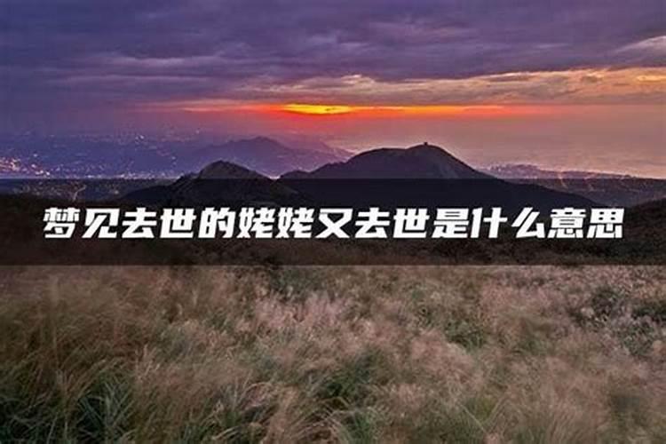 猪和猴真的不能在一起 2023属猪要小心一个人