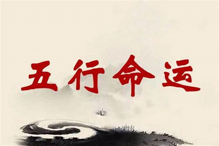 1963属兔2024年的运势及运程如何