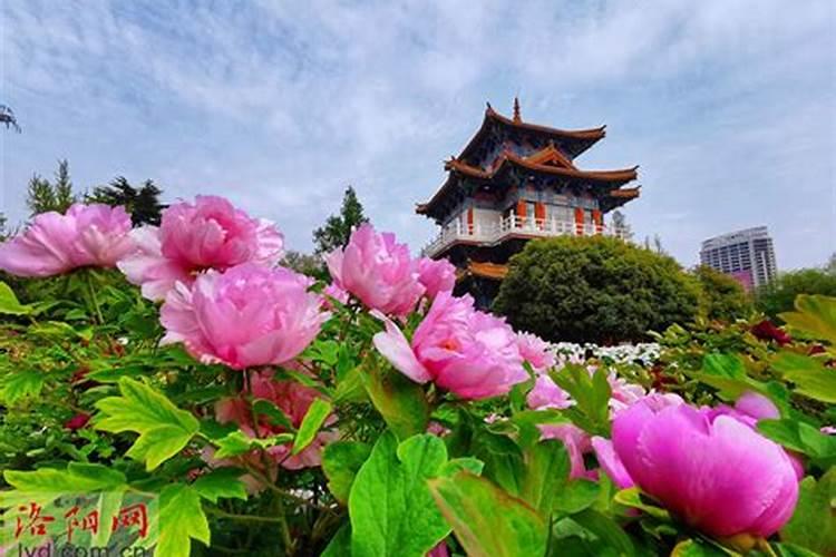 河南清明节吃什么