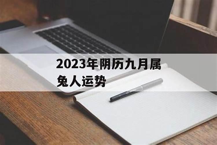 哈士奇有什么优缺点呢？
