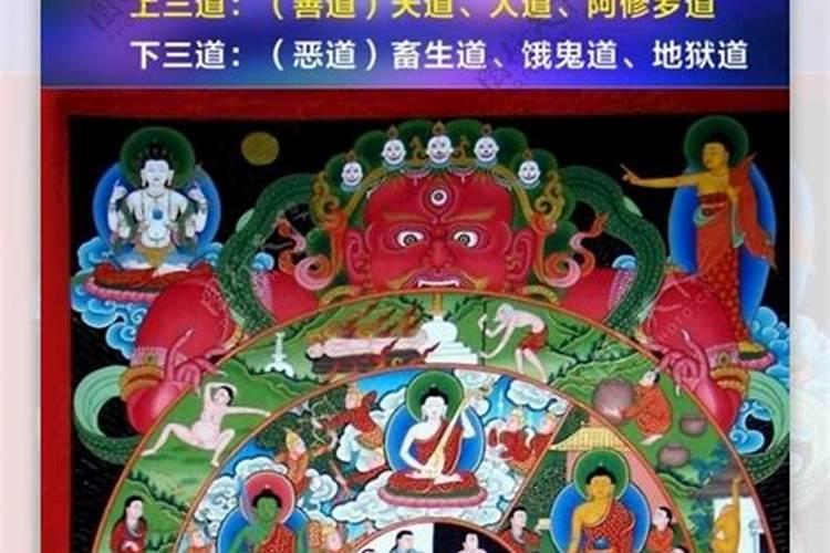 算命的说我是一匹修行的马是什么意思？