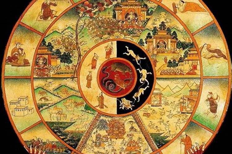 算命的说我是一匹修行的马是什么意思？